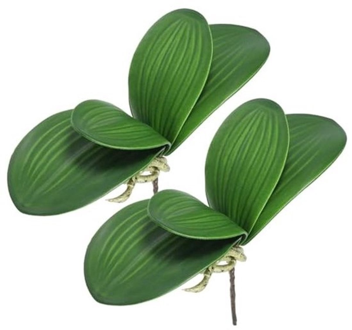 Set van 2 kunstorchideeënbladeren voor decoratie - 11 cm