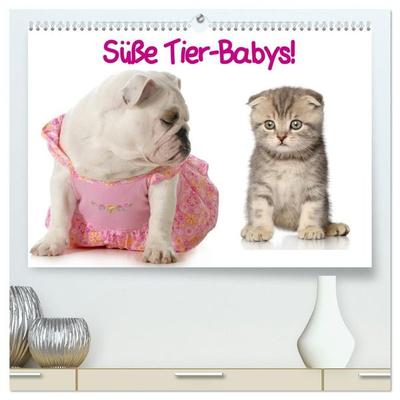 Süße Tier-Babys! (hochwertiger Premium Wandkalender 2027 DIN A2 quer), Kunstdruck in Hochglanz
