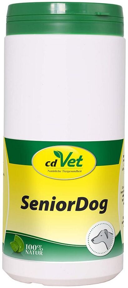 Senior Dog