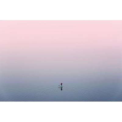 Fototapete PAPERMOON "Ente im Wasser", bunt, B:5m L:2,8m, Vlies, Tapeten