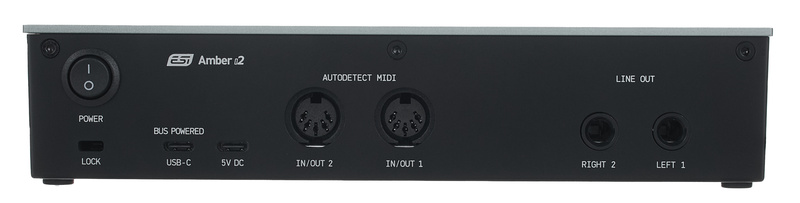 ESI Amber i2
