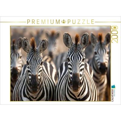 CALVENDO Puzzle Ein typisches Bild - eine große Zebraherde | 2000 Teile Lege-Größe 90x67cm Foto-Puzzle für glückliche Stunden, Sonstige von , Calvendo