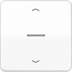 Jung Wippe Symbole/Lichtl.aws CD 590 KO5P WW