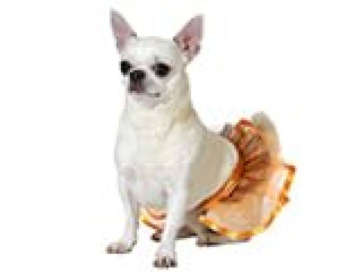 ATOSA Kostuum voor huisdieren, tutu, oranje