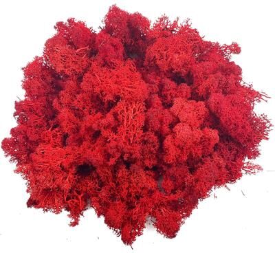 Inspire Select Artificial Reindeer Moss Decor Faux Green Moss For Crafts, Potted Plants & Wall Art red 1.1 Oz