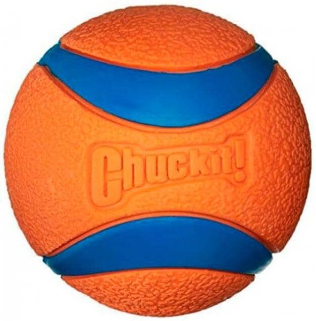 Tier-Beschäftigungsspielzeug CHUCKIT "Ultra Tennisball XXL", bunt (blau, orange), Ø:10cm, Fummelspielzeuge, Tier-Beschäftigungsspielzeug blau, orange Einheitsgröße