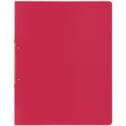 Baier & Schneider, Ordner, Ringbuch (A4 hoch, 10 Stk.)