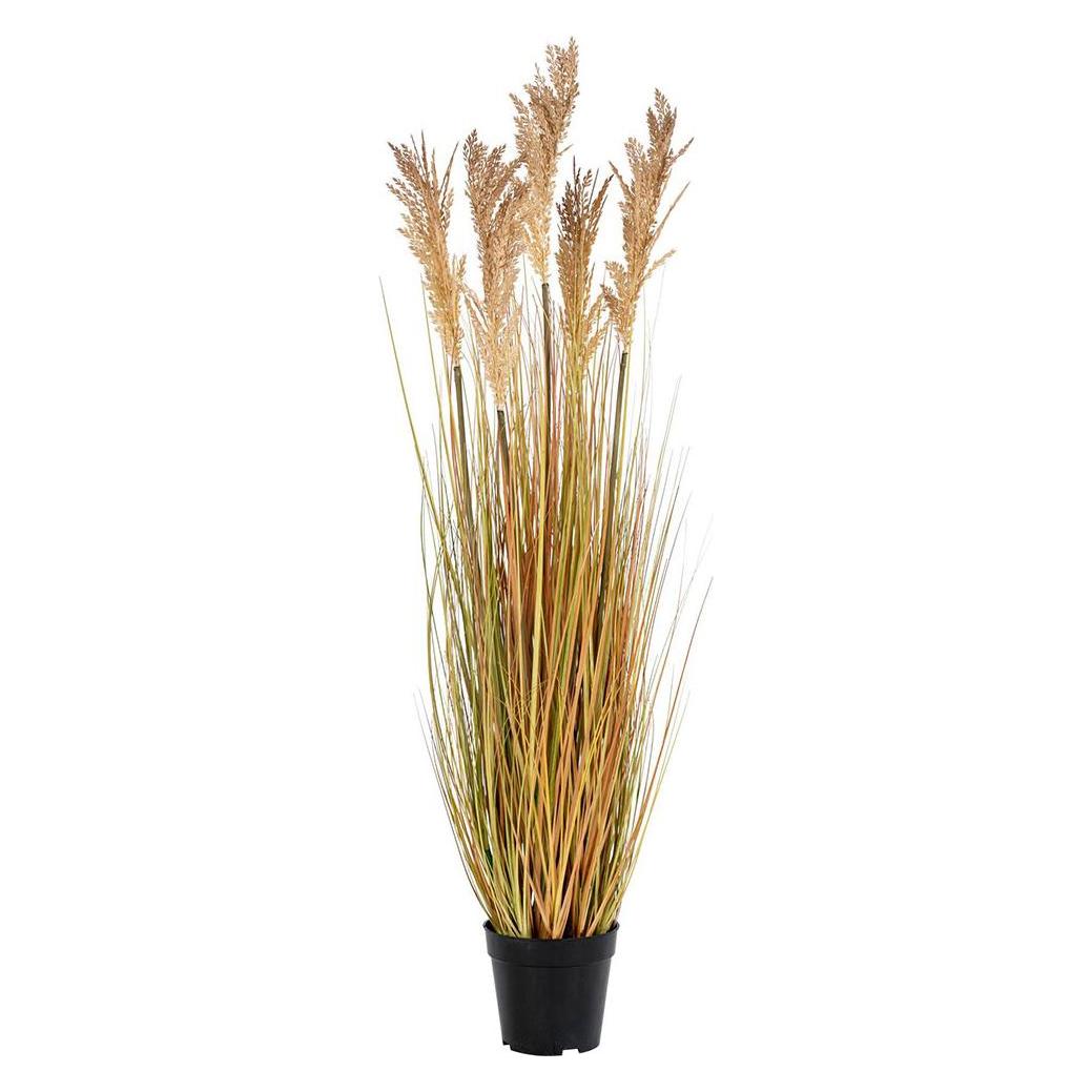 House Nordic Sorghumgrass (110 cm) (9501070)