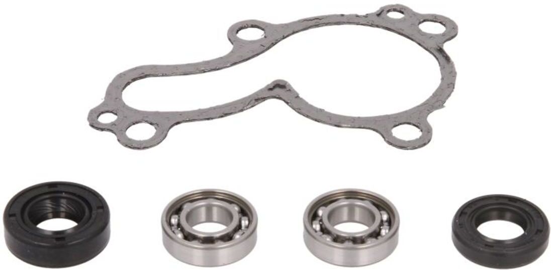 Reparatursatz, Wasserpumpe HOT RODS WPK0038