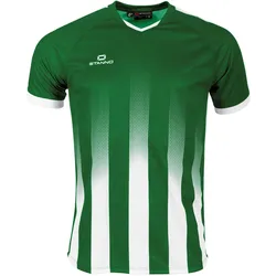 Stanno, Herren, Sportshirt, Vivid Trikot (M), Grün