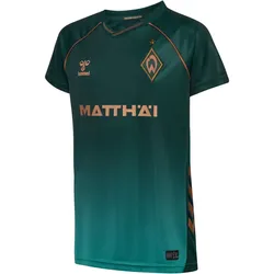 hummel SV Werder Bremen Ausweichtrikot 2025/26 Kinder 6108 - scarab 128