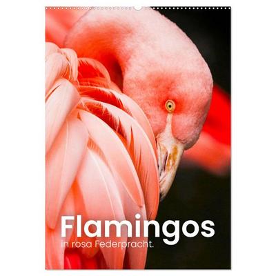 Flamingos in rosa Federpracht. (Wandkalender 2026 DIN A2 hoch), CALVENDO Monatskalender