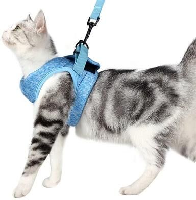 Uplifted Finds Escape Proof Stealth Soft Cat Harness blue l