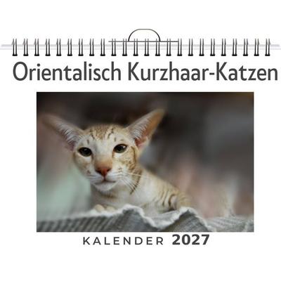 Orientalisch Kurzhaar-Katzen