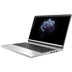 HP Elite Mobile Thin Client mt645 G7 (14", 256 GB, 8 GB, DE, AMD Ryzen 3 5425U), Notebook, Silber