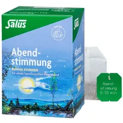 ABENDSTIMMUNG Kräutertee Salus Filterbeutel 15 St