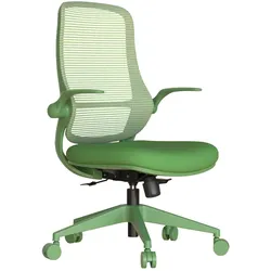 Carmen ASTARA Ergonomischer Bürostuhl mit Netzrücken – Grün
