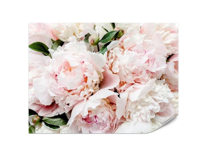 FOTOTAPETE für Schlafzimmer Rosa Zarte Pfingstrosen Natur 200x140