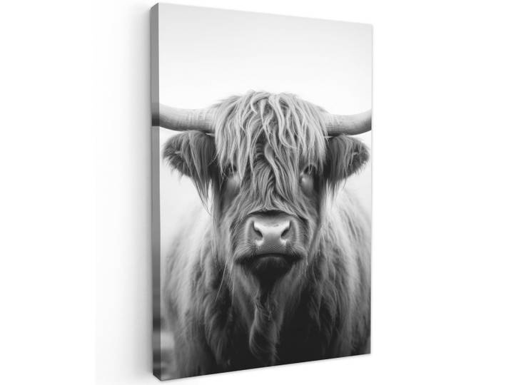 LEINWANDBILD Schottischer Highlander - Nebel - Schwarz - Weiß Wanddeko 40x60 cm