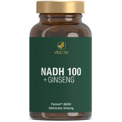 NADH 100+Ginseng magensaftresistente Kapseln 60 St
