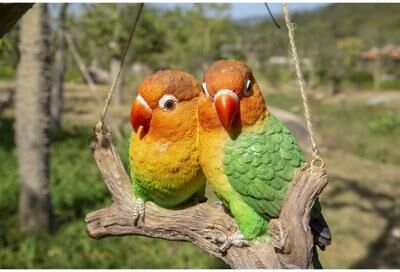 Hi-Line Gift HANGING PARROTS (LOVEBIRDS) ON BRANCH