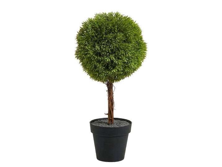 Buis en pot 10 x 35 x 10cm