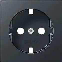 Jung Platte SCHUKO Steckdose anthrazit A1520BFPLANM