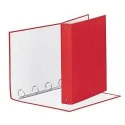 Esselte, Ordner, 395792920 Dokumentenaufbewahrungsbox aus Kunststoff, rot (A4, 1 Stk.)