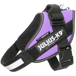 Julius-K9 IDC Powergeschirr Lila (M, Hund, Allgemein, Hundesport, Jogging, Spazieren), Halsband + Leine