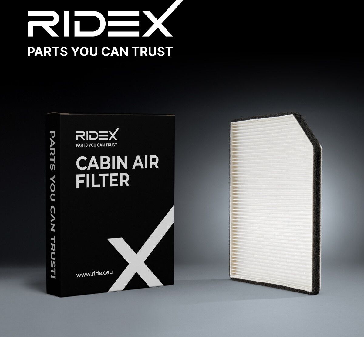 RIDEX 424I0604 Pollen filter
