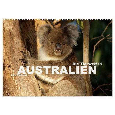 Die Tierwelt in Australien (Wandkalender 2027 DIN A2 quer), CALVENDO Monatskalender