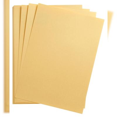 Clairefontaine Maya Fotokarton 50x70cm 270g 125 Bogen - Gold 397280C