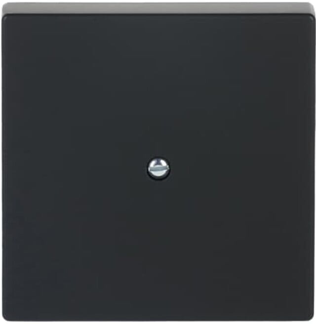 Busch-Jaeger Rosace centrale prise de connexion téléphonique 1745-885 noir avec cadre (2CKA001710A3896)