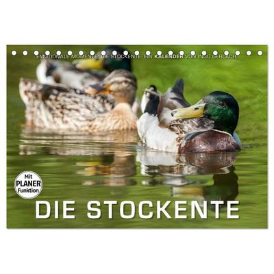 Emotionale Momente: Die Stockente. (Tischkalender 2026 DIN A5 quer), CALVENDO Monatskalender