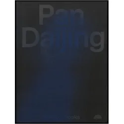 Pan Daijing, Fachbücher von Emma Enderby, Sarah Johanna Theurer, Donatien Grau, Mark Harwood, Amdrea Lissoni