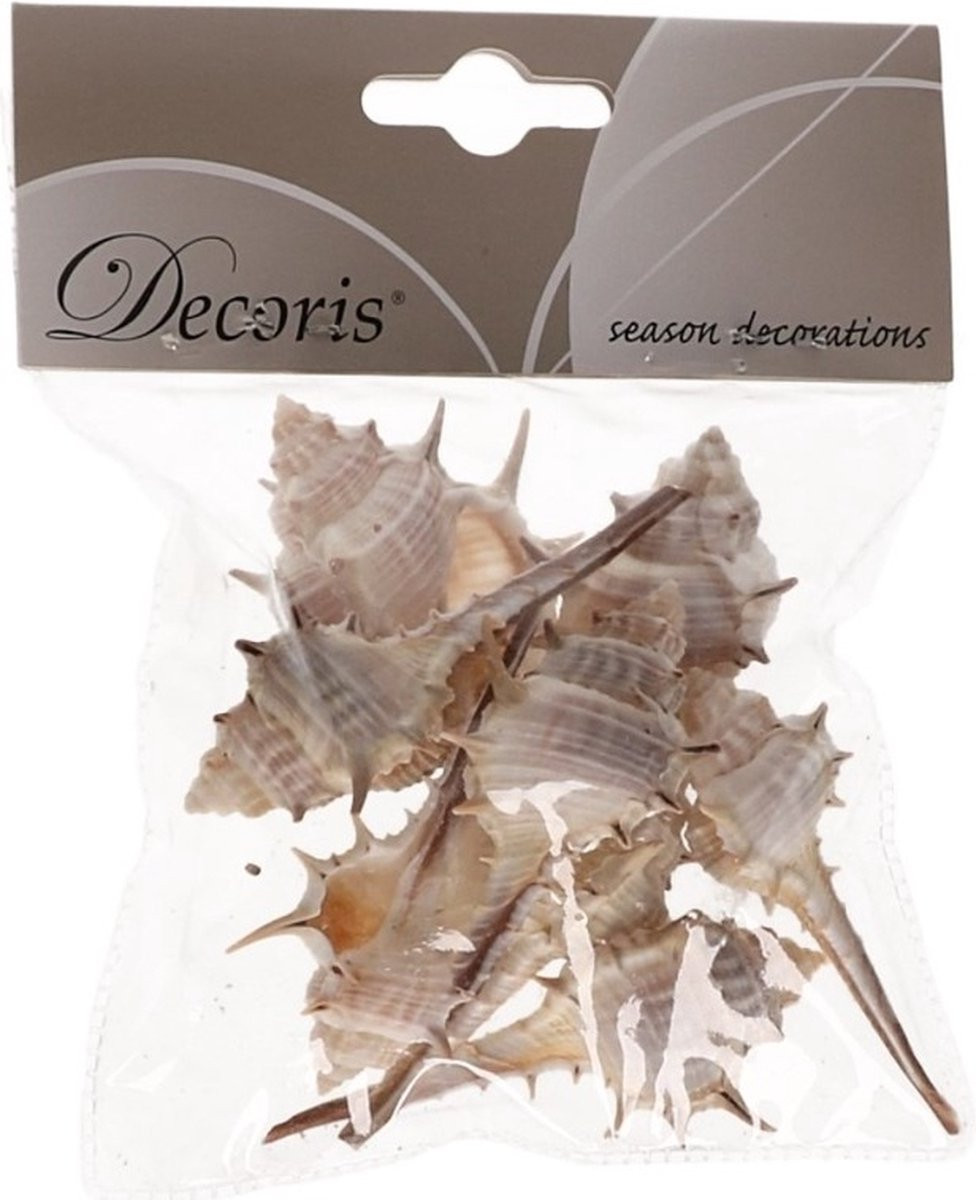 Decoris Decoratie schelpen Thorn - 6 cm - Natuurlijke schelpjes voor maritieme woondecoratie