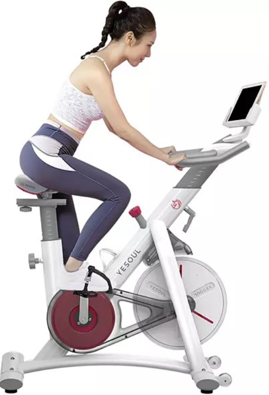 YESOUL S3 Fitnessbikes Fitness Bike Heimtrainer weiß /white