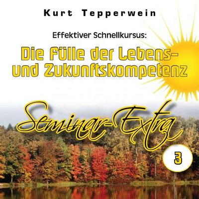 Effektiver Schnellkursus: Die Fülle der Lebens- Und Zukunftskompetenz (Seminar-Extra - Teil 3) - , Audio, 4250618871172