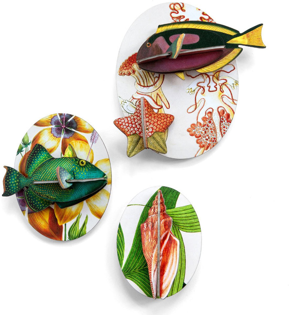 Studio ROOF Collectors box Fishes - vol 1 wanddecoratie voor volwassenen