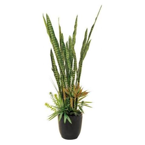Europalms Sukkulenten-Mix, Kunstpflanze, 190cm (190 cm) (82600035)