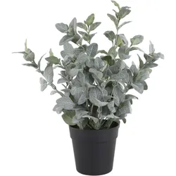 Chic Antique Fleur Salbei Kräuter-Topf künstlich, H45/Ø 14 cm grün