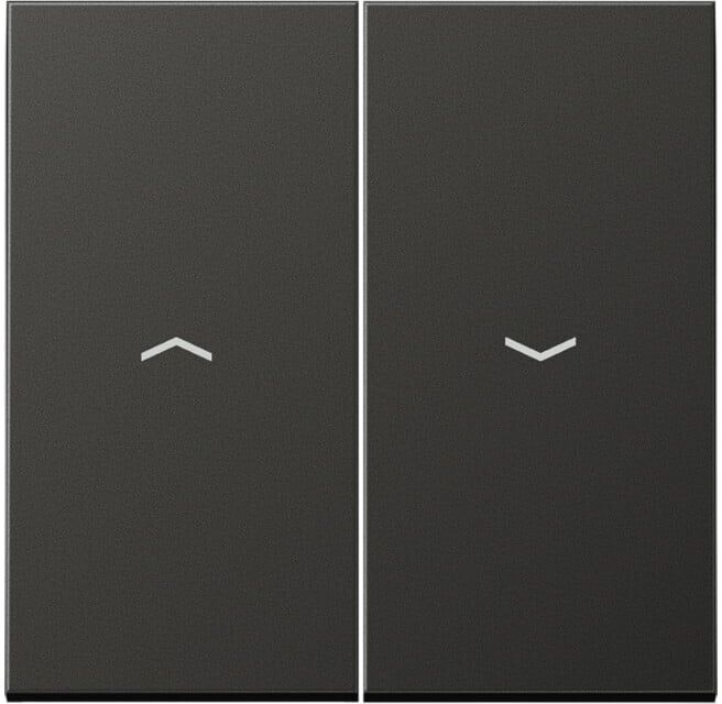 Jung Wippe Symboles anthracite pour bouton-poussoir AL 2995 P AN (AL2995PAN)