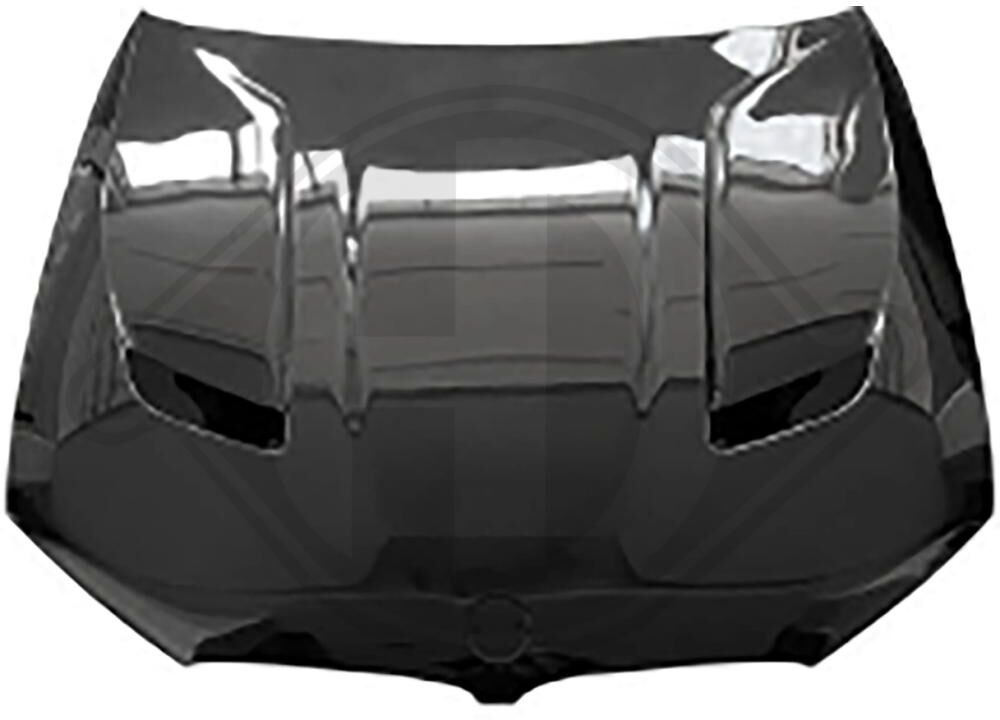Diederichs Motorhaube 1226500 Vorne