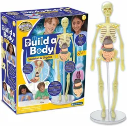 Brainstorm Anatomie - Baue einen Körper