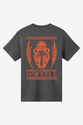 O'Neill s Shook Classic T-Shirt in Dark Shadow, Size Medium