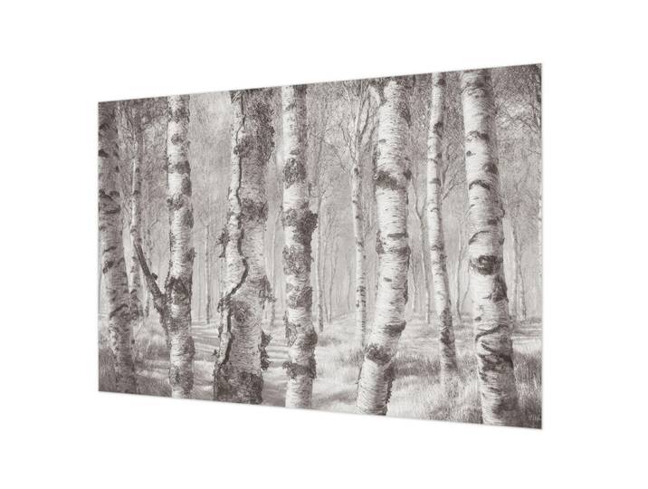 Wallfluent Fototapete 312x219 cm - Birkenwald, Schwarz, 312x219 cm, Tapeten & Wandverkleidungen, Fototapeten