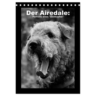 Der Airedale: Portraits eines 'Dickkopfes' (Tischkalender 2026 DIN A5 hoch), CALVENDO Monatskalender