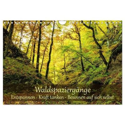 Waldspaziergänge: Entspannen - Kraft tanken - Besinnen auf sich selbst (Wandkalender 2027 DIN A4 quer), CALVENDO Monatskalender