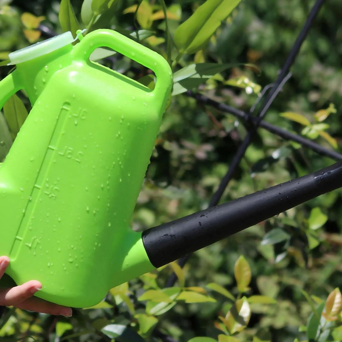 Groene Gieter met Lekvrije Uitloop voor het Water Geven aan Planten, 3L