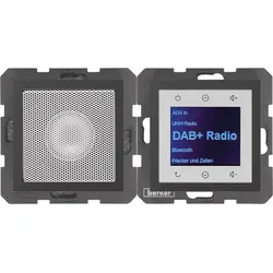 Berker Radio mit Lautspr. DAB+ B. 29801606
